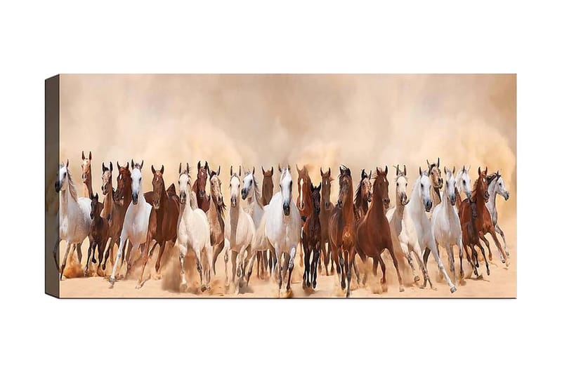 Canvasbillede YTY Animals Flerfarvet - 120x50 cm - Boligtilbehør - Billeder & kunst - Billeder på lærred