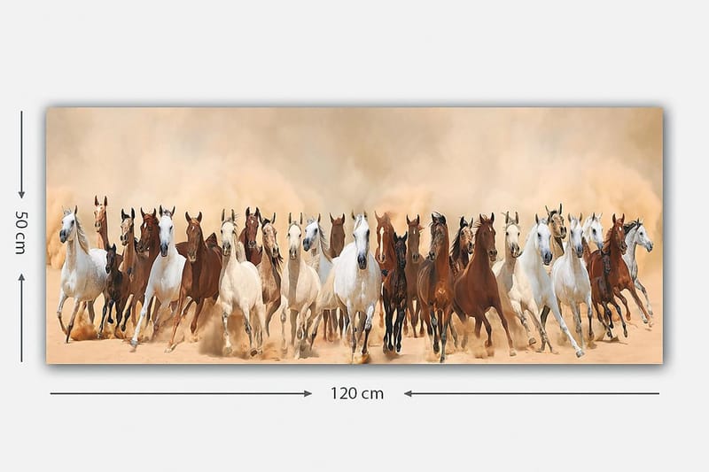Canvasbillede YTY Animals Flerfarvet - 120x50 cm - Boligtilbehør - Billeder & kunst - Billeder på lærred