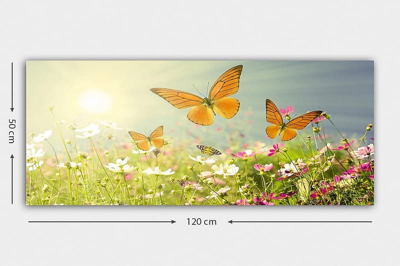 Canvasbillede YTY Animals Flerfarvet - 120x50 cm - Boligtilbehør - Billeder & kunst - Billeder på lærred
