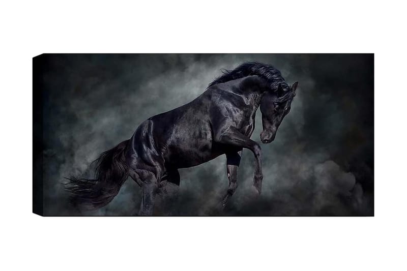 Canvasbillede YTY Animals Flerfarvet - 120x50 cm - Boligtilbehør - Billeder & kunst - Billeder på lærred
