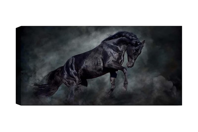 Canvasbillede YTY Animals Flerfarvet - 120x50 cm - Boligtilbehør - Billeder & kunst - Billeder på lærred