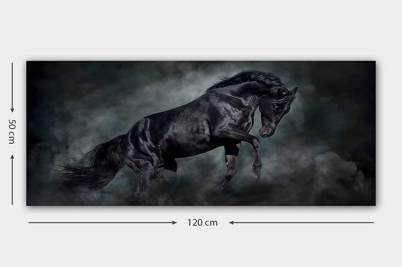 Canvasbillede YTY Animals Flerfarvet - 120x50 cm - Boligtilbehør - Billeder & kunst - Billeder på lærred