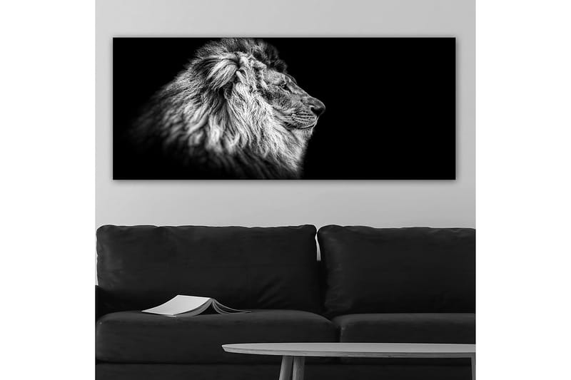 Canvasbillede YTY Animals Flerfarvet - 120x50 cm - Boligtilbehør - Billeder & kunst - Billeder på lærred