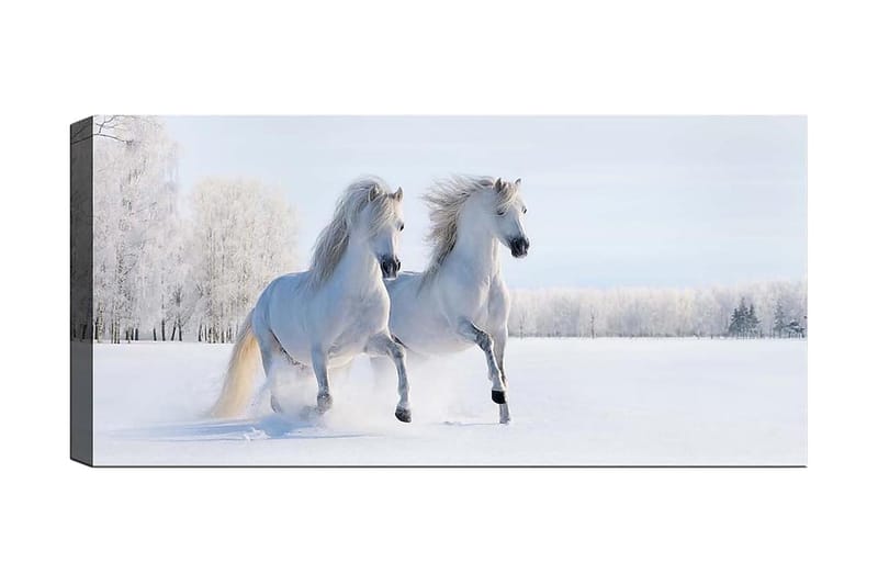 Canvasbillede YTY Animals Flerfarvet - 120x50 cm - Boligtilbehør - Billeder & kunst - Billeder på lærred