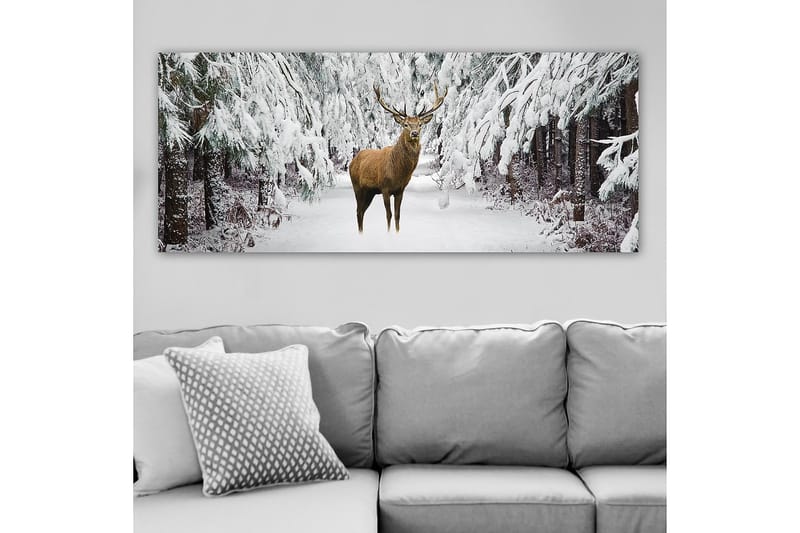 Canvasbillede YTY Animals Flerfarvet - 120x50 cm - Boligtilbehør - Billeder & kunst - Billeder på lærred