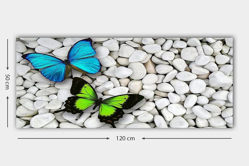 Canvasbillede YTY Animals Flerfarvet - 120x50 cm - Boligtilbehør - Billeder & kunst - Billeder på lærred