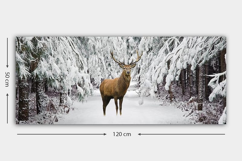 Canvasbillede YTY Animals Flerfarvet - 120x50 cm - Boligtilbehør - Billeder & kunst - Billeder på lærred