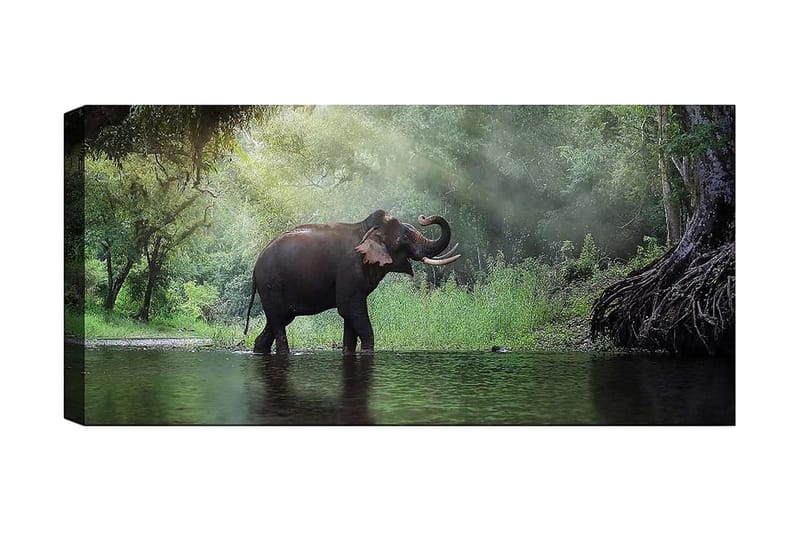 Canvasbillede YTY Animals Flerfarvet, 120x50 cm