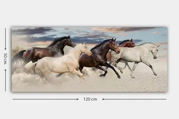 Canvasbillede YTY Animals Flerfarvet - 120x50 cm - Boligtilbehør - Billeder & kunst - Billeder på lærred