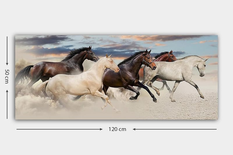 Canvasbillede YTY Animals Flerfarvet - 120x50 cm - Boligtilbehør - Billeder & kunst - Billeder på lærred