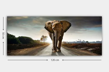 Canvasbillede YTY Animals Flerfarvet - 120x50 cm - Boligtilbehør - Billeder & kunst - Billeder på lærred