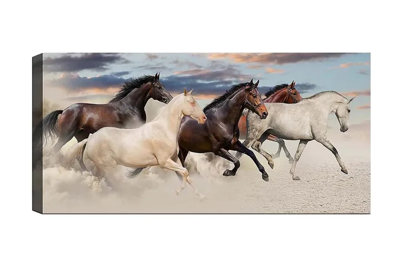 Canvasbillede YTY Animals Flerfarvet, 120x50 cm