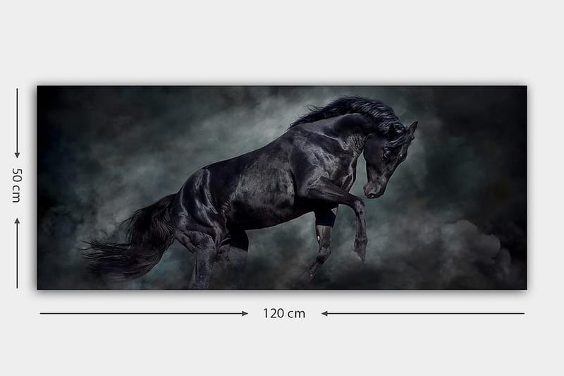 Canvasbillede YTY Animals Flerfarvet - 120x50 cm - Boligtilbehør - Billeder & kunst - Billeder på lærred