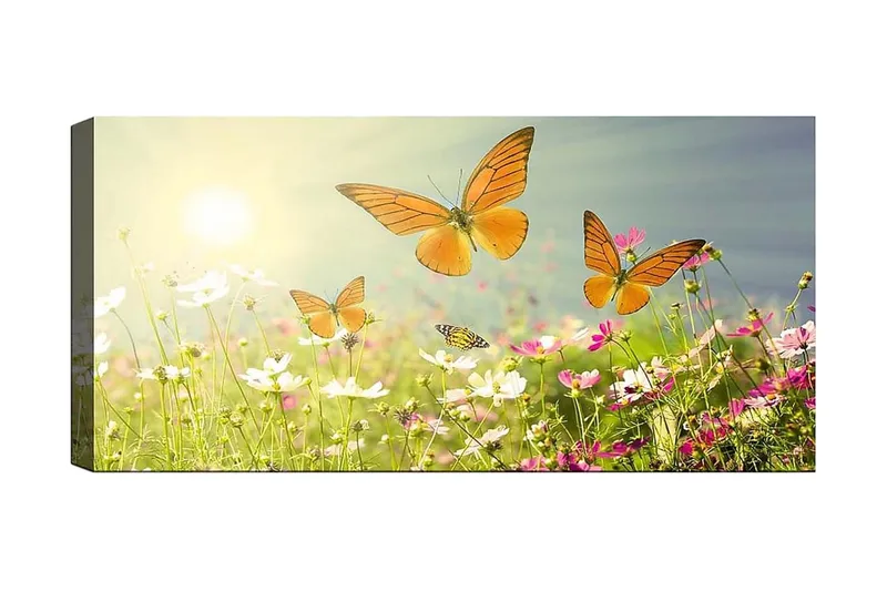 Canvasbillede YTY Animals Flerfarvet, 120x50 cm