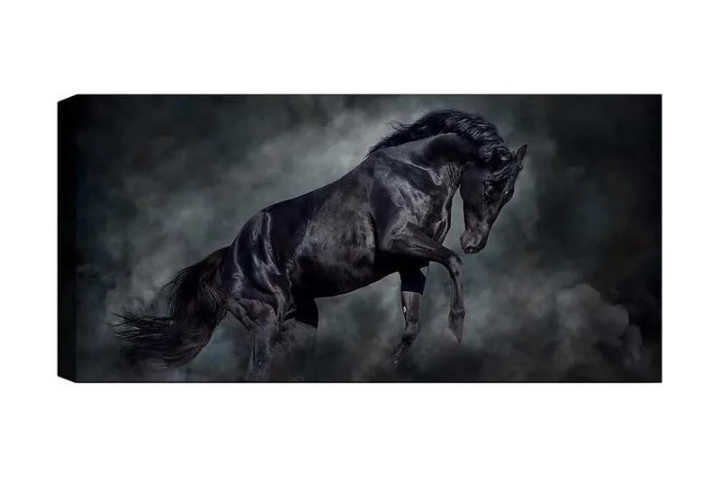 Canvasbillede YTY Animals Flerfarvet, 120x50 cm