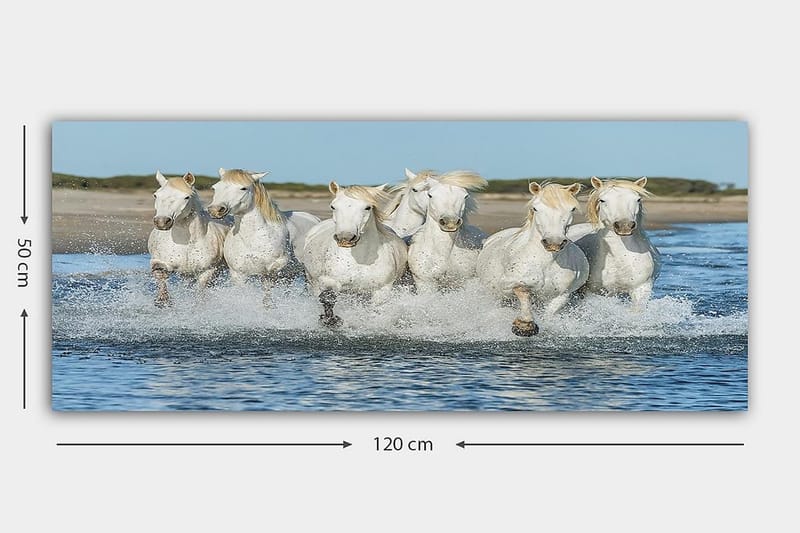 Canvasbillede YTY Animals Flerfarvet - 120x50 cm - Boligtilbehør - Billeder & kunst - Billeder på lærred