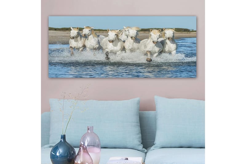 Canvasbillede YTY Animals Flerfarvet - 120x50 cm - Boligtilbehør - Billeder & kunst - Billeder på lærred
