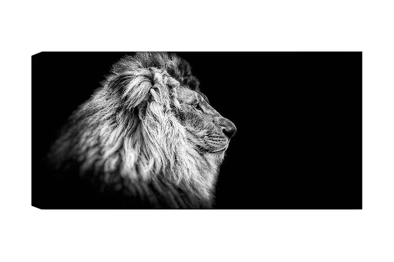 Canvasbillede YTY Animals Flerfarvet, 120x50 cm