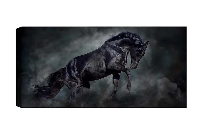 Canvasbillede YTY Animals Flerfarvet, 120x50 cm