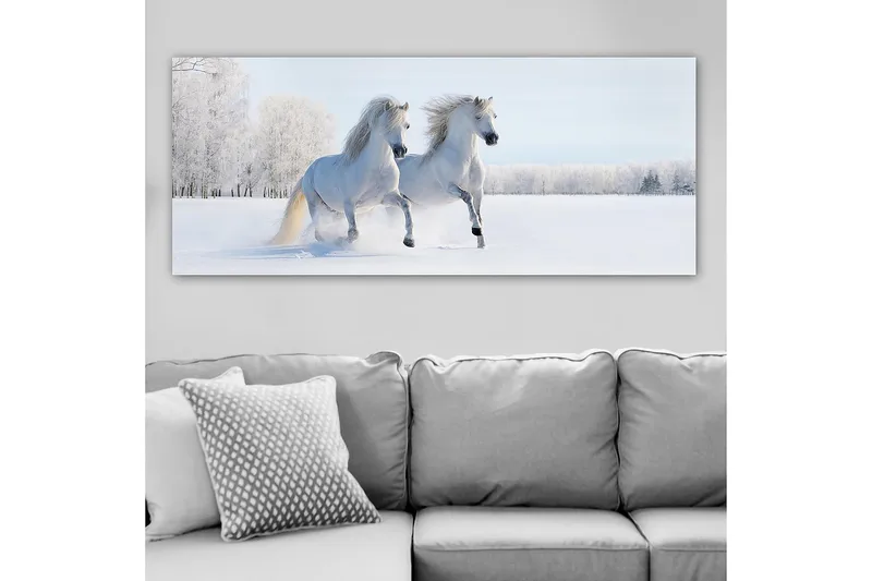 Canvasbillede YTY Animals Flerfarvet - 120x50 cm - Boligtilbehør - Billeder & kunst - Billeder på lærred
