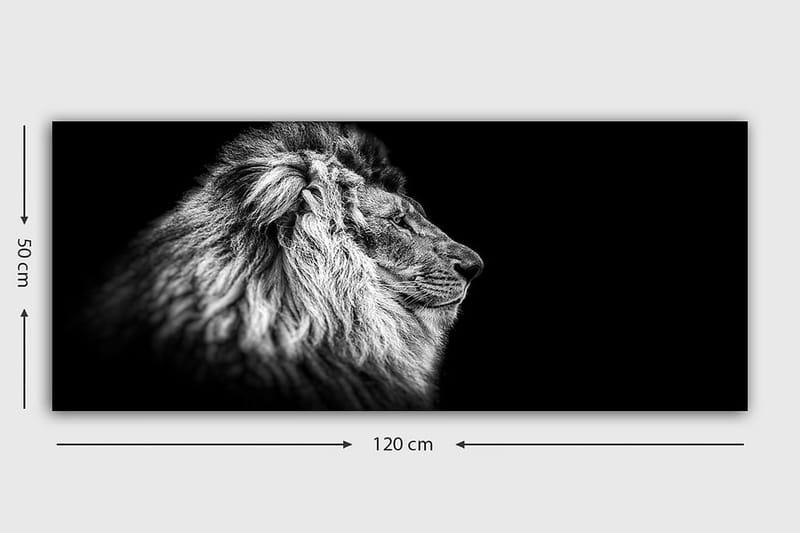 Canvasbillede YTY Animals Flerfarvet - 120x50 cm - Boligtilbehør - Billeder & kunst - Billeder på lærred