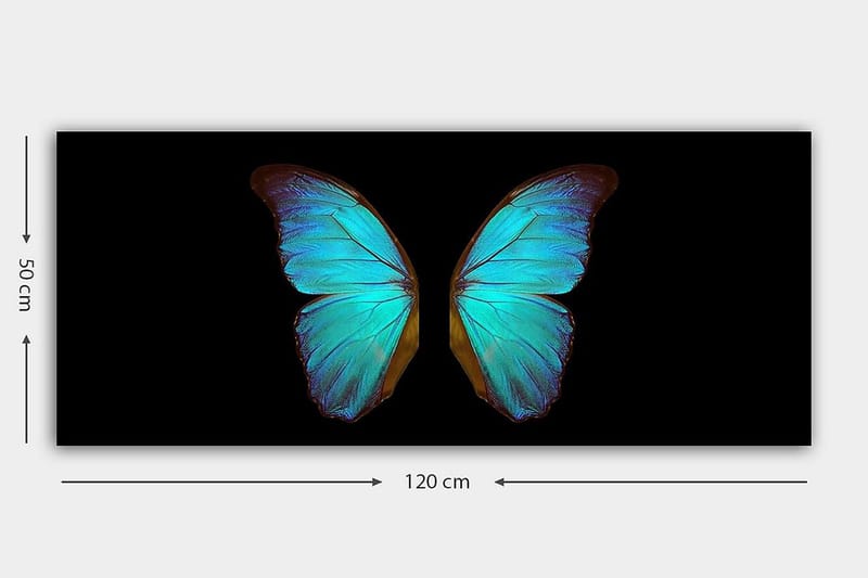 Canvasbillede YTY Animals Flerfarvet - 120x50 cm - Boligtilbehør - Billeder & kunst - Billeder på lærred