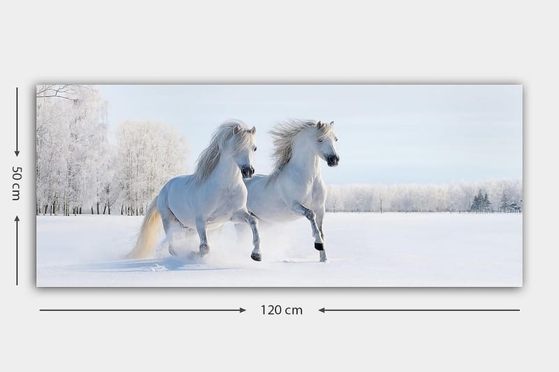 Canvasbillede YTY Animals Flerfarvet - 120x50 cm - Boligtilbehør - Billeder & kunst - Billeder på lærred