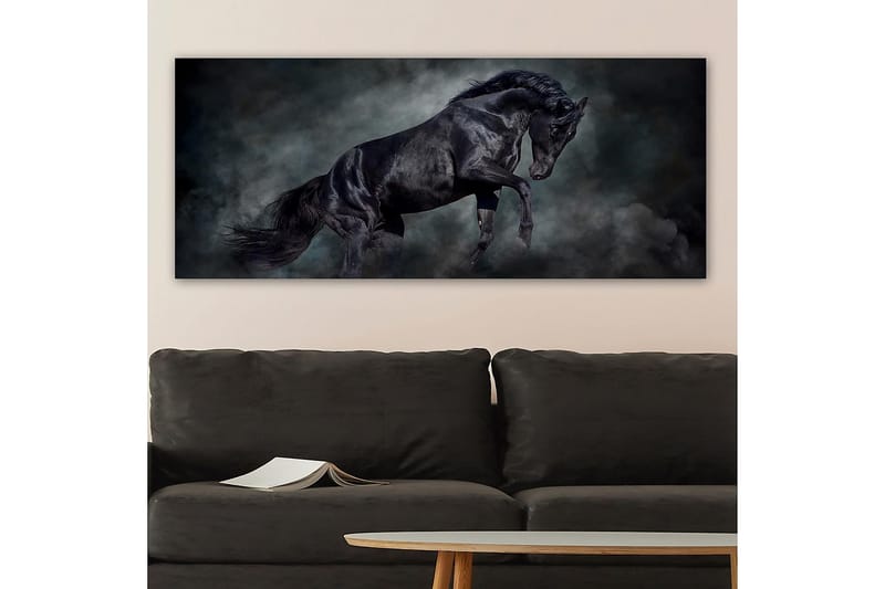 Canvasbillede YTY Animals Flerfarvet - 120x50 cm - Boligtilbehør - Billeder & kunst - Billeder på lærred
