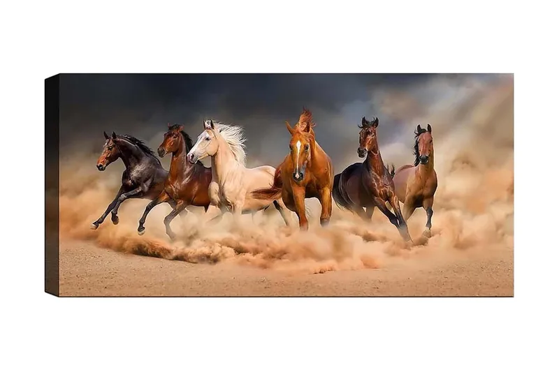 Canvasbillede YTY Animals Flerfarvet, 120x50 cm