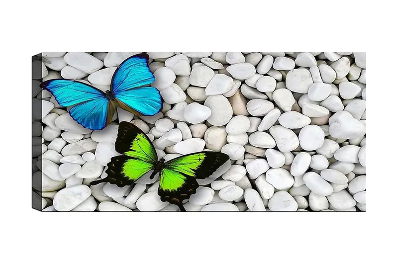 Canvasbillede YTY Animals Flerfarvet, 120x50 cm