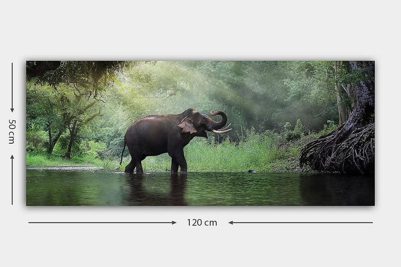 Canvasbillede YTY Animals Flerfarvet - 120x50 cm - Boligtilbehør - Billeder & kunst - Billeder på lærred