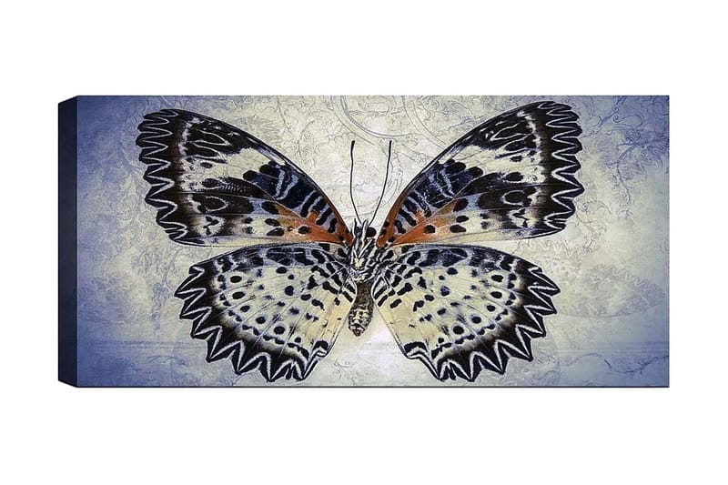 Canvasbillede YTY Animals Flerfarvet, 120x50 cm