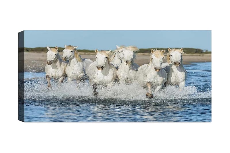 Canvasbillede YTY Animals Flerfarvet, 120x50 cm