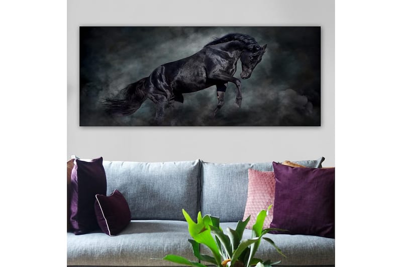 Canvasbillede YTY Animals Flerfarvet - 120x50 cm - Boligtilbehør - Billeder & kunst - Billeder på lærred