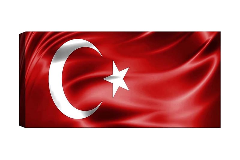 Canvasbillede YTY Flag Flerfarvet - 120x50 cm - Boligtilbehør - Billeder & kunst - Billeder på lærred
