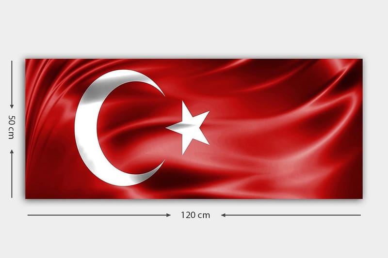 Canvasbillede YTY Flag Flerfarvet - 120x50 cm - Boligtilbehør - Billeder & kunst - Billeder på lærred