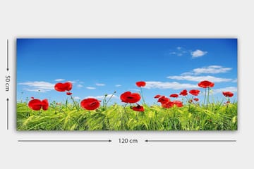 Canvasbillede YTY Floral & Botanical Flerfarvet - 120x50 cm - Boligtilbehør - Billeder & kunst - Billeder på lærred
