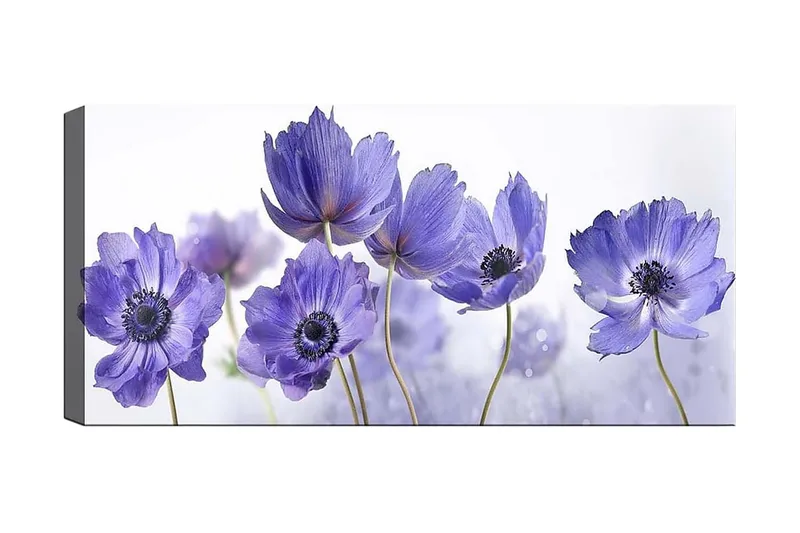 Canvasbillede YTY Floral & Botanical Flerfarvet, 120x50 cm