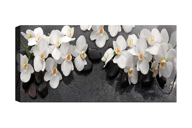 Canvasbillede YTY Floral & Botanical Flerfarvet, 120x50 cm