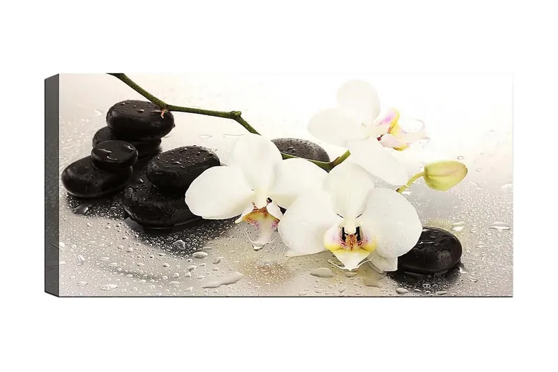 Canvasbillede YTY Floral & Botanical Flerfarvet, 120x50 cm