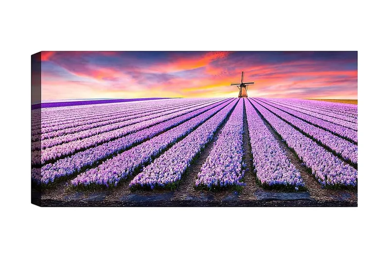 Canvasbillede YTY Floral & Botanical Flerfarvet, 120x50 cm