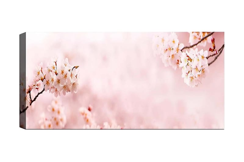 Canvasbillede YTY Floral & Botanical Flerfarvet, 120x50 cm