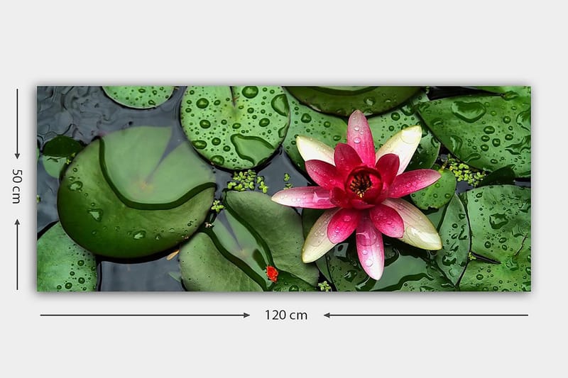 Canvasbillede YTY Floral & Botanical Flerfarvet - 120x50 cm - Boligtilbehør - Billeder & kunst - Billeder på lærred