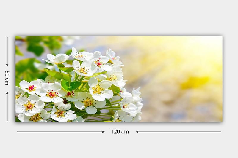 Canvasbillede YTY Floral & Botanical Flerfarvet - 120x50 cm - Boligtilbehør - Billeder & kunst - Billeder på lærred