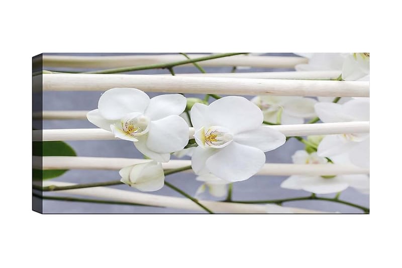 Canvasbillede YTY Floral & Botanical Flerfarvet - 120x50 cm - Boligtilbehør - Billeder & kunst - Billeder på lærred