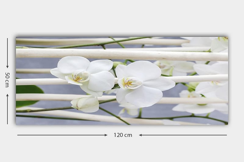 Canvasbillede YTY Floral & Botanical Flerfarvet - 120x50 cm - Boligtilbehør - Billeder & kunst - Billeder på lærred