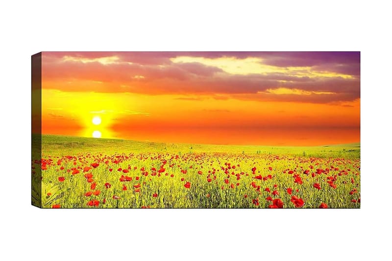 Canvasbillede YTY Floral & Botanical Flerfarvet - 120x50 cm - Boligtilbehør - Billeder & kunst - Billeder på lærred