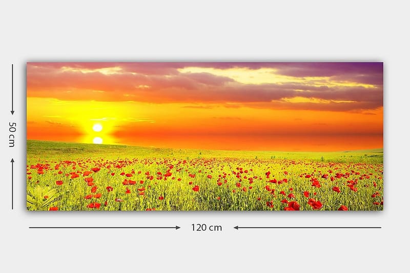 Canvasbillede YTY Floral & Botanical Flerfarvet - 120x50 cm - Boligtilbehør - Billeder & kunst - Billeder på lærred