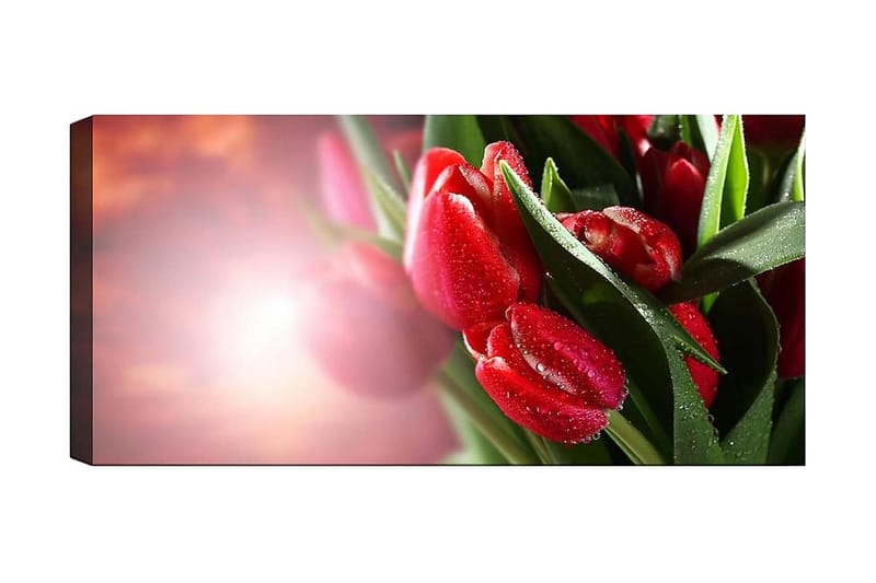 Canvasbillede YTY Floral & Botanical Flerfarvet - 120x50 cm - Boligtilbehør - Billeder & kunst - Billeder på lærred