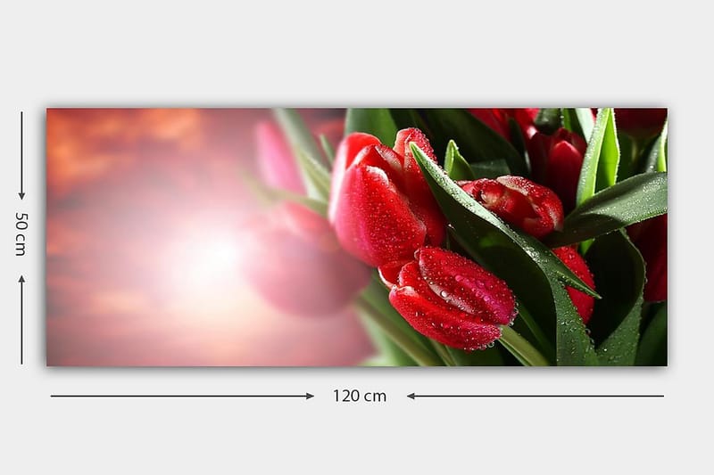 Canvasbillede YTY Floral & Botanical Flerfarvet - 120x50 cm - Boligtilbehør - Billeder & kunst - Billeder på lærred